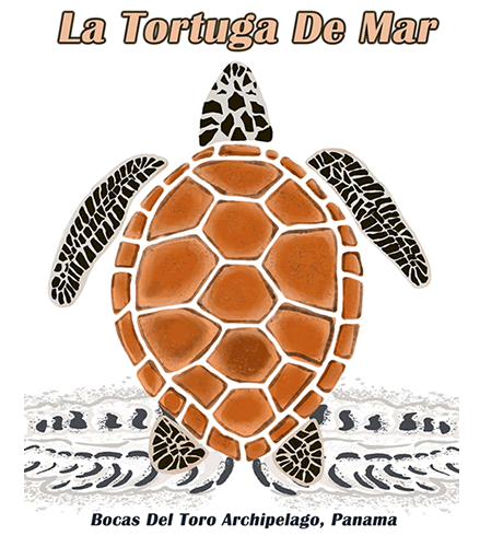 Tortuga de Mar - Sea Turtle - Bocas Del Toro, Panama - Island Art by Yotigo Tshirt